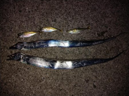 初めてのポイント